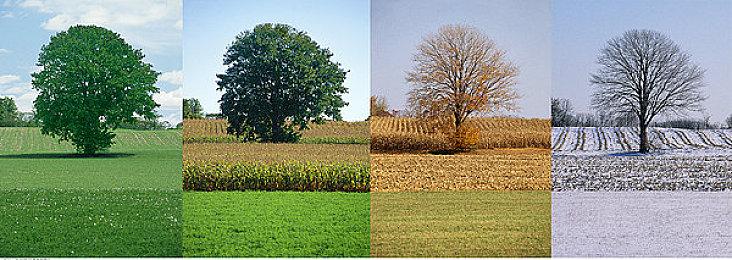 PS5年底前将发布重要系统更新 正招募测试人员